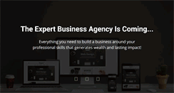 Desktop Screenshot of expertbusiness.com